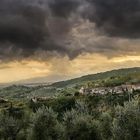 Terrazza Sui Colli *